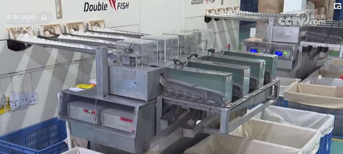 巴黎奥运热销带动中国制造 燃气家用器具出口迎赛事经济新机遇